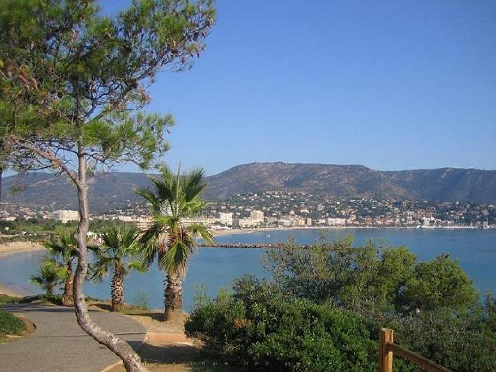 183 D36 LE LAVANDOU_000065.jpg